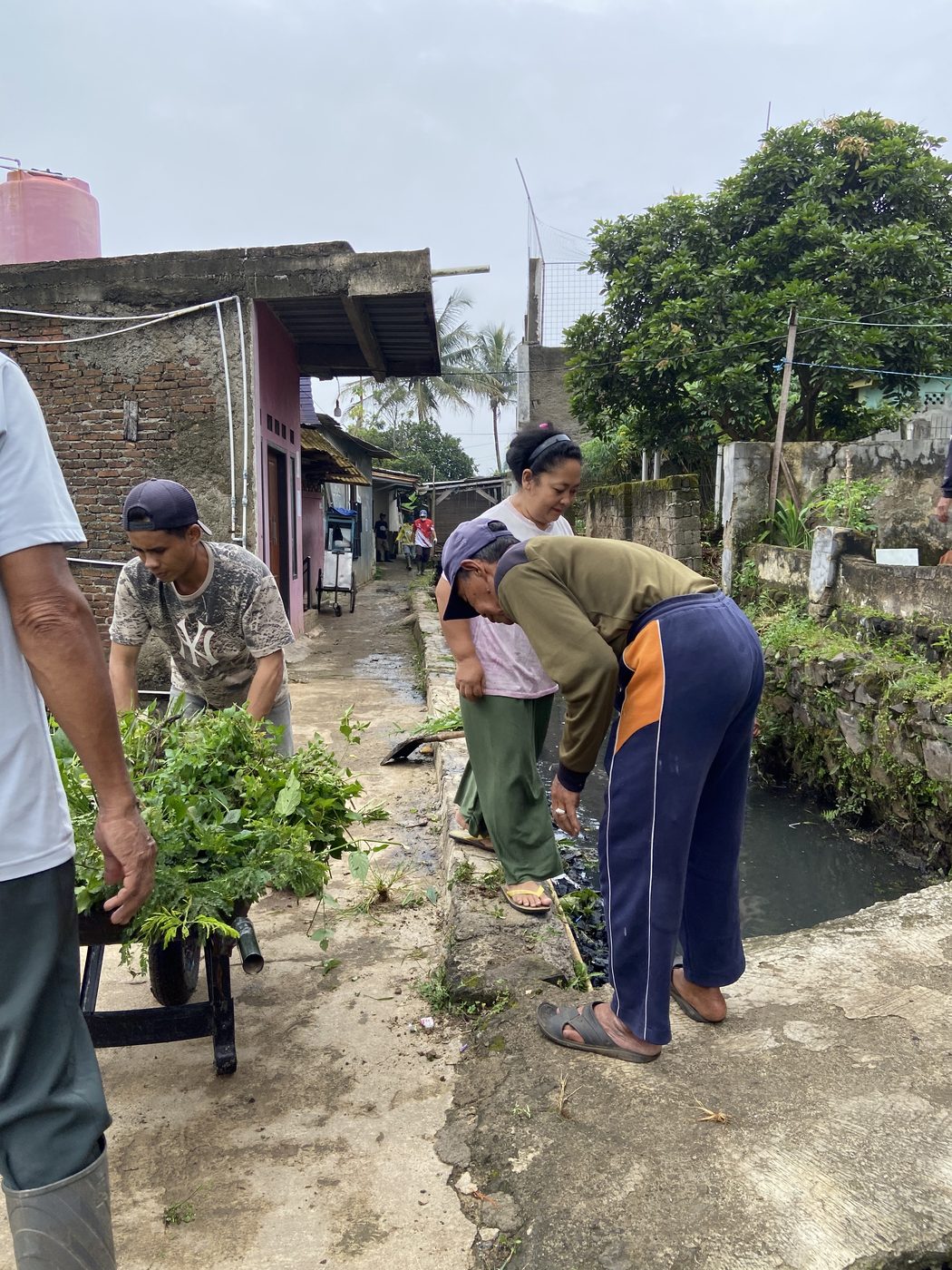 Gang kampung yang dihijaukan bersama warga di Padalarang